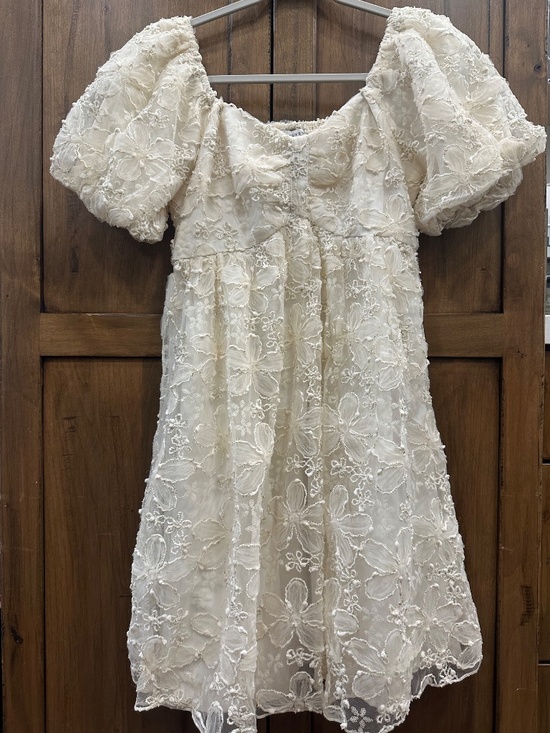 Baltic Born Dresses & Skirts - Baltic Born Carolina Embroidered Short Dress